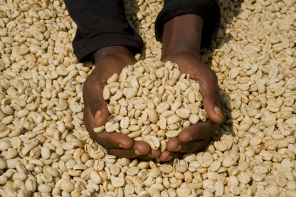 ETHIOPIE - JIMMA  - Torréfaction Foncée