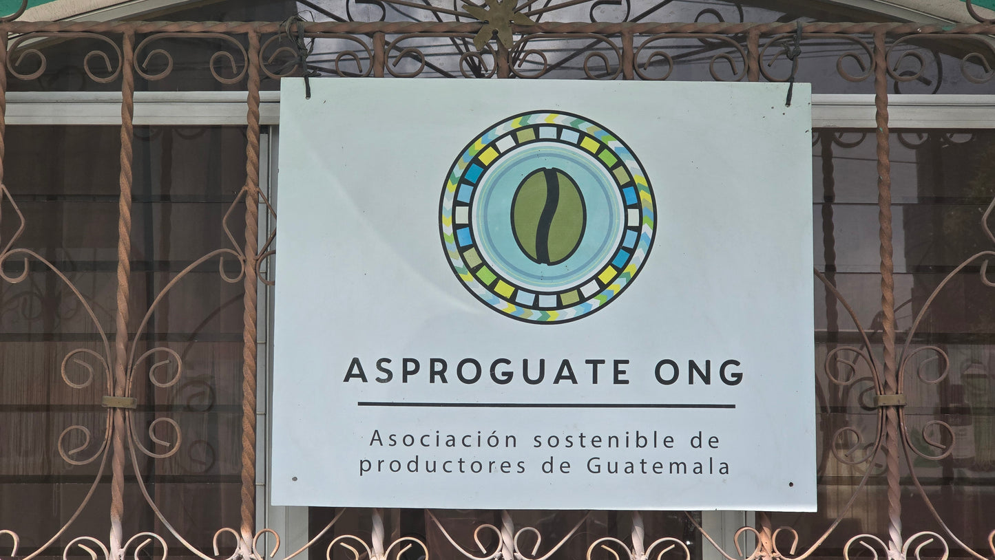 GUATEMALA – ASPROGUATE - Torréfaction Medium