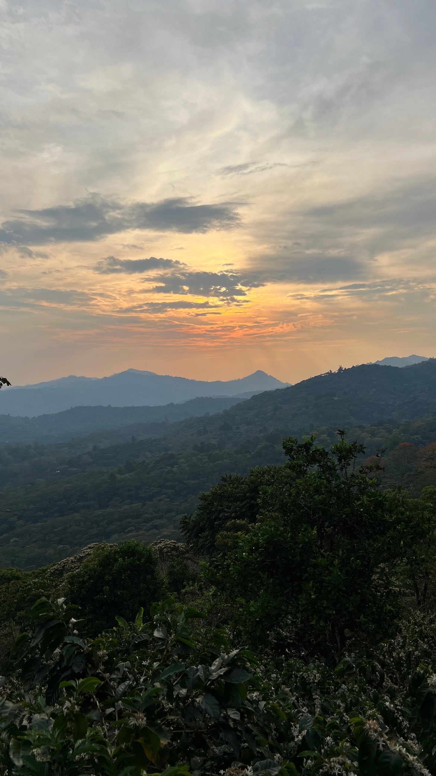 NICARAGUA - DIPILTO - Torréfaction Medium