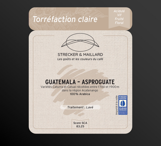 GUATEMALA – ASPROGUATE - Torréfaction claire