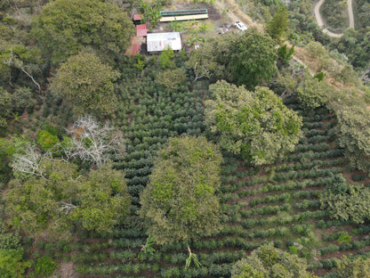 PEROU – VISTA HERMOSA - Torréfaction Medium